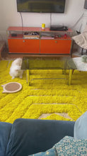 Charger et lire la vidéo dans la visionneuse de la Galerie, Tapis Béni Ouarain Neuf Soleil Mi Amore
